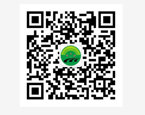 幼蜜蜂谷物种植技术农夫合作社